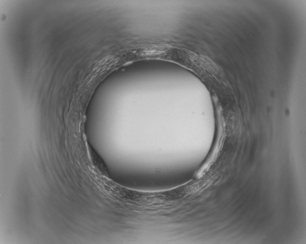 X0000060801441200511141427