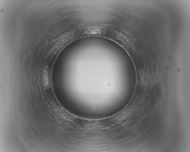 X0000060801442200511141427