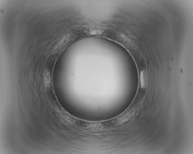 X0000060801443200511141427