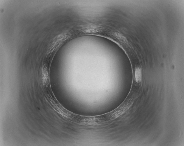 X0000060801444200511141427