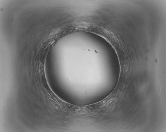 X0000060801445200511141427