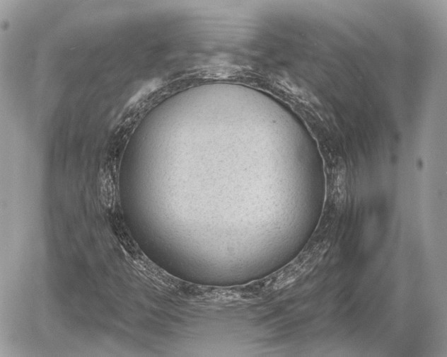 X0000060801446200511141427