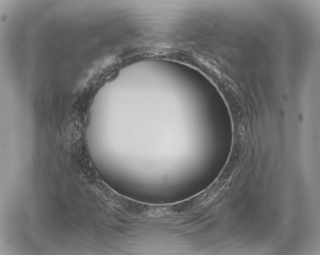 X0000060801447200511141427