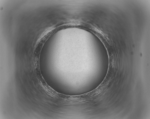 X0000060801448200511141427