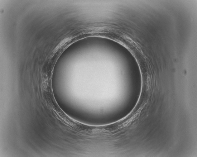 X0000060801449200511141427