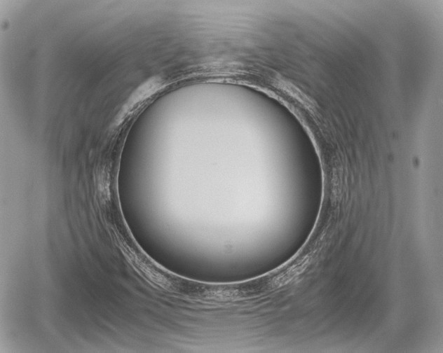 X0000060801451200511141427