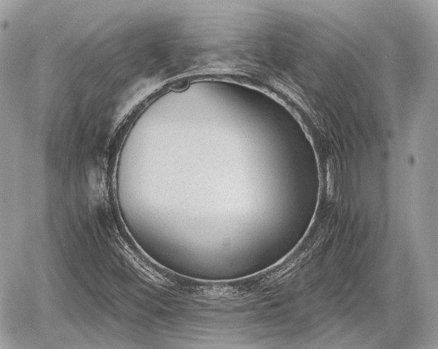 X0000060801452200511141427