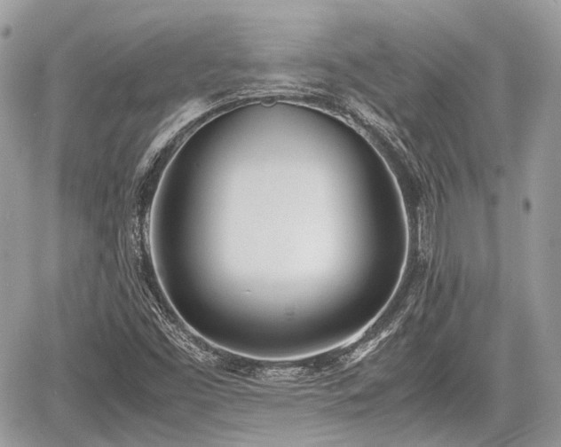 X0000060801453200511141427