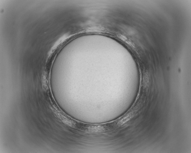 X0000060801454200511141427