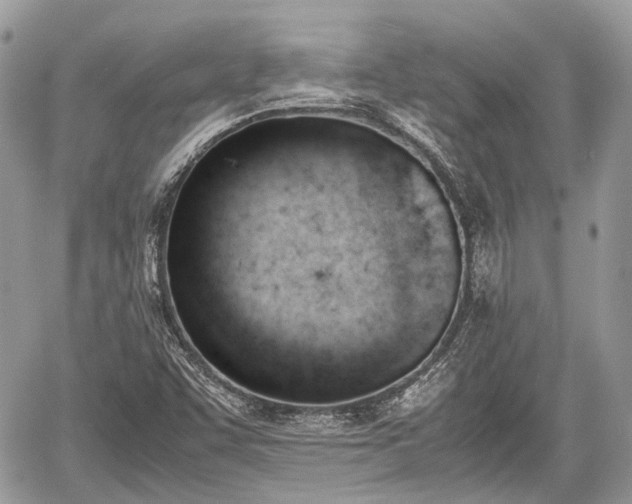 X0000060801455200511141427