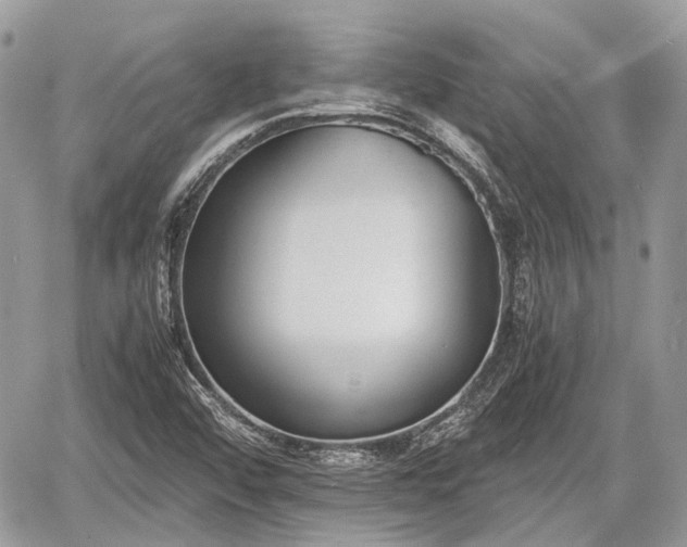 X0000060801456200511141427