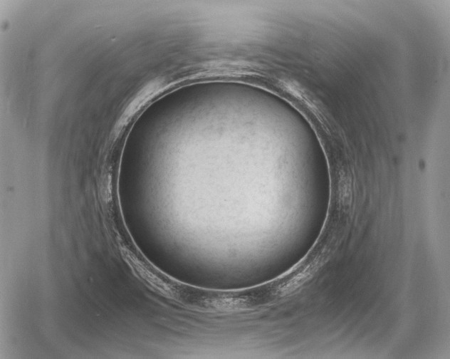 X0000060801459200511141427