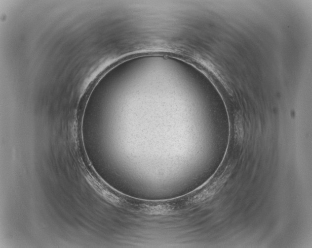 X0000060801460200511141427