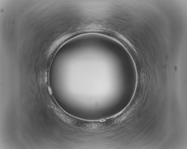 X0000060801461200511141427