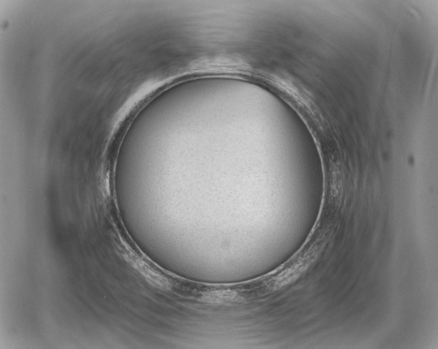 X0000060801462200511141427