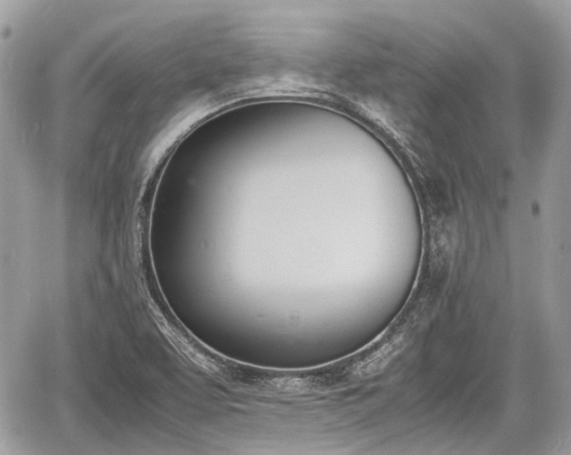 X0000060801463200511141427