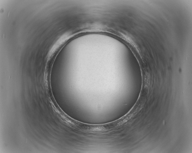 X0000060801464200511141427