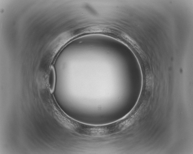 X0000060801465200511141427