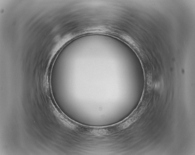 X0000060801466200511141427