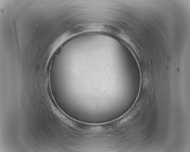 X0000060801467200511141427