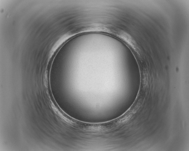 X0000060801468200511141427