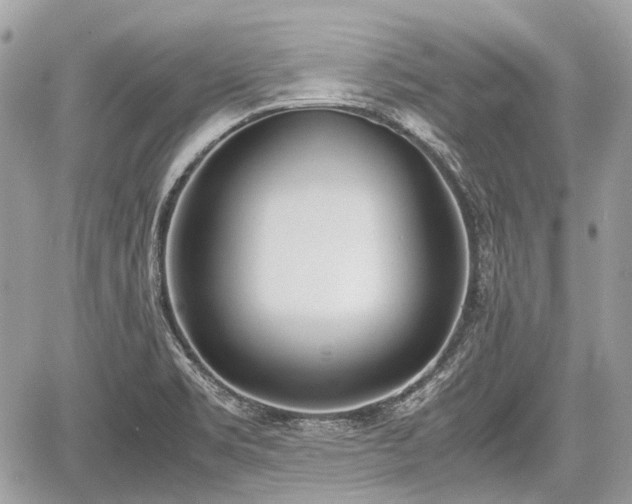 X0000060801469200511141427