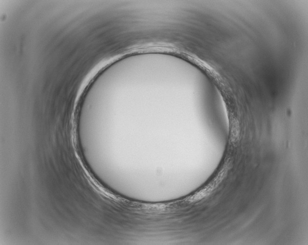 X0000060801470200511141427