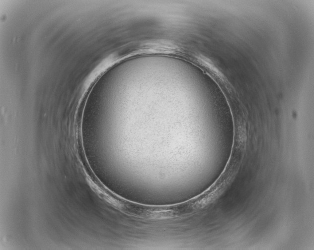 X0000060801471200511141427