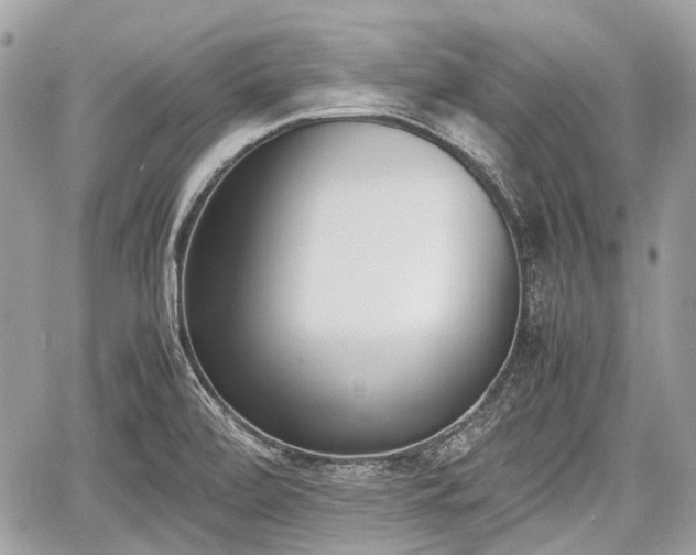 X0000060801472200511141427