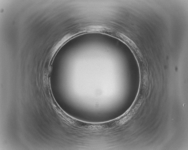 X0000060801473200511141427