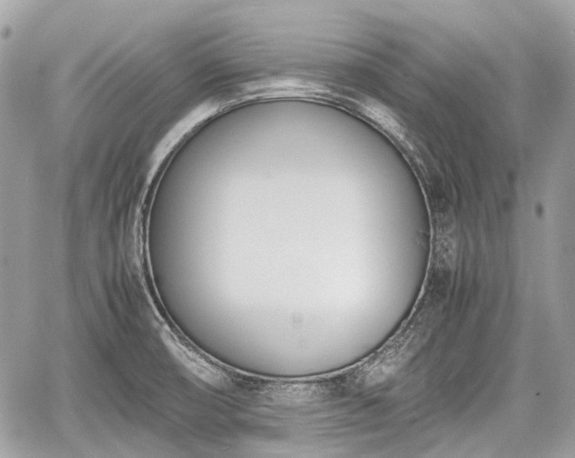 X0000060801474200511141427