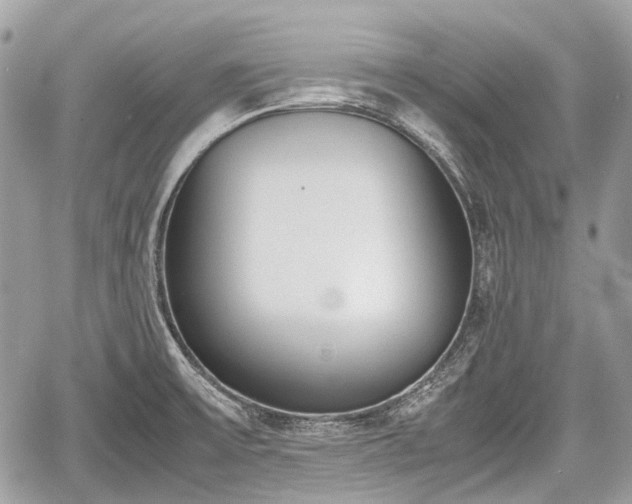 X0000060801475200511141427