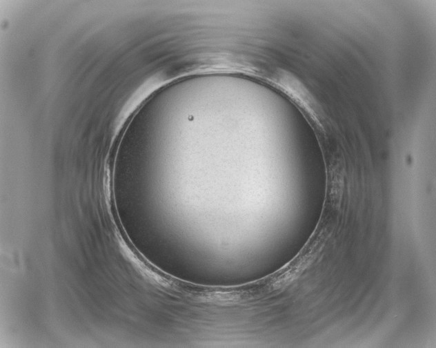 X0000060801476200511141427