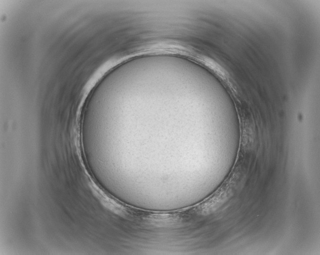 X0000060801478200511141427