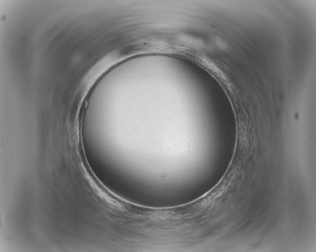 X0000060801479200511141427