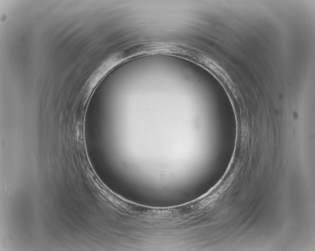 X0000060801481200511141427