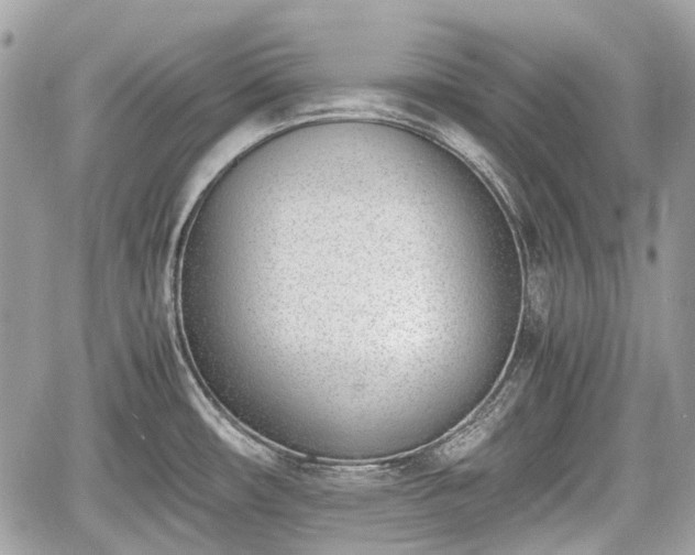 X0000060801482200511141427