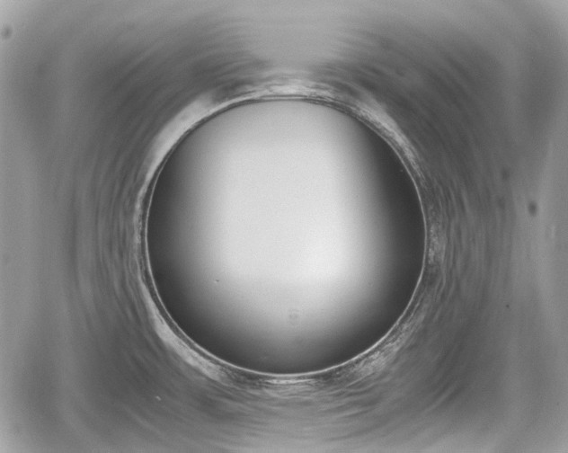 X0000060801483200511141427