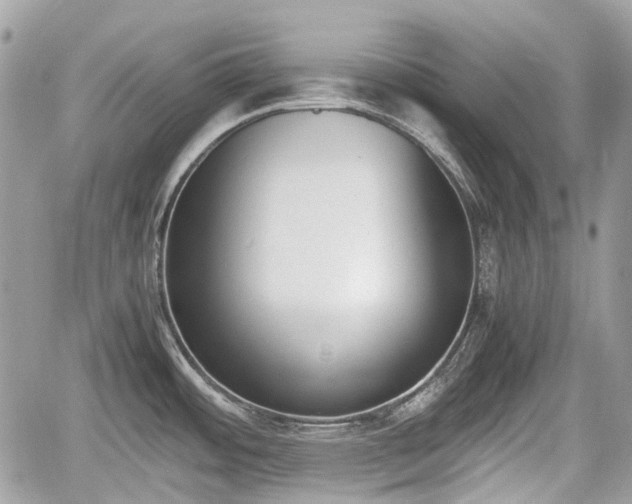 X0000060801484200511141427