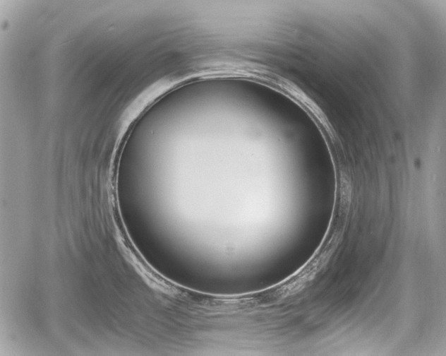 X0000060801485200511141427