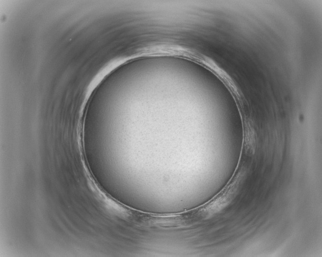 X0000060801486200511141427