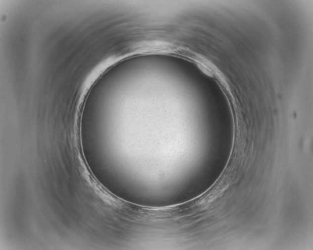 X0000060801488200511141427