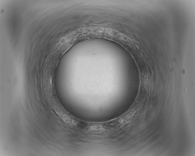 X0000060801489200511141426