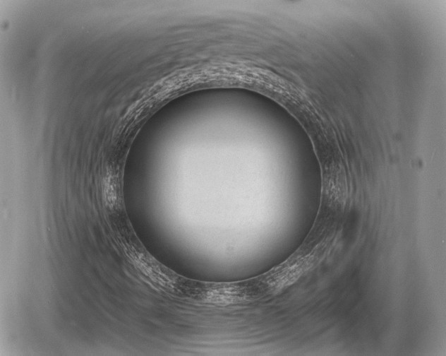 X0000060801490200511141426