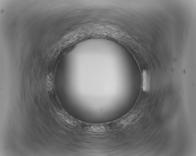 X0000060801491200511141426