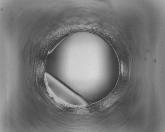 X0000060801492200511141426