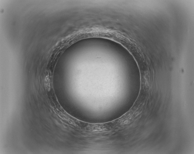 X0000060801493200511141426