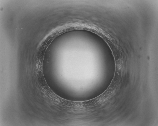 X0000060801495200511141426