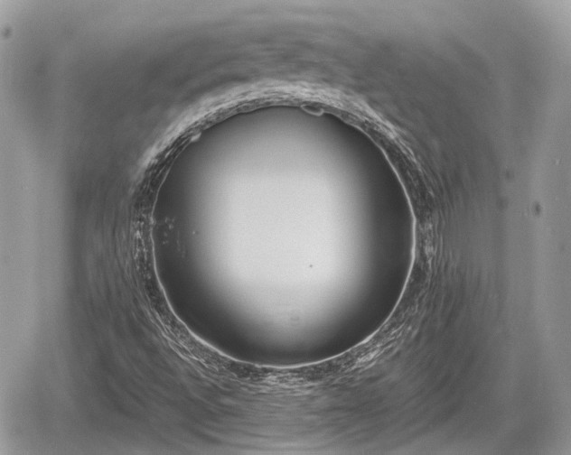 X0000060801496200511141426