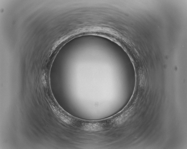 X0000060801497200511141426